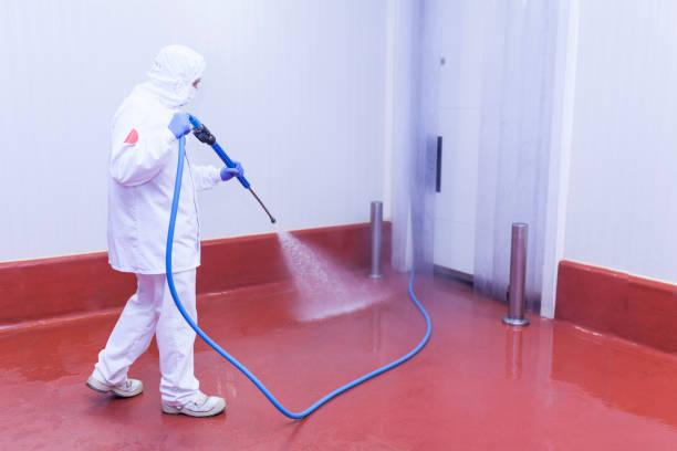 Best Boat and Dock Cleaning  in Choctaw, OK